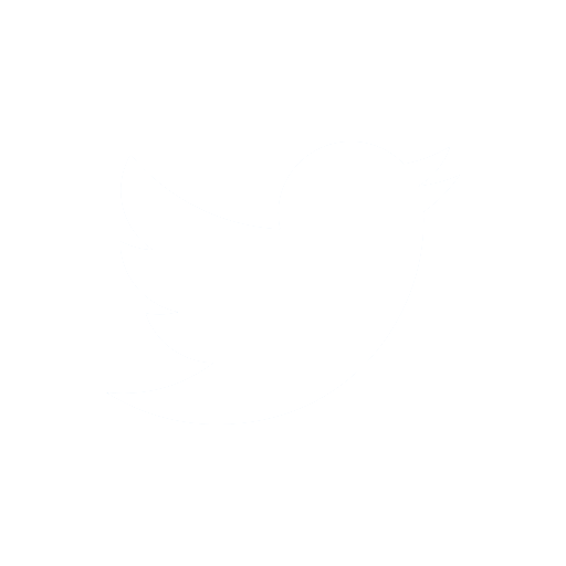 twitter%20icon%20white